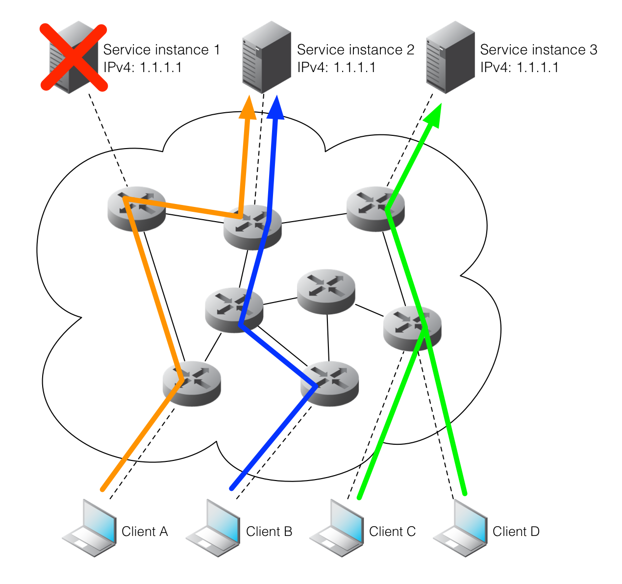 Study network